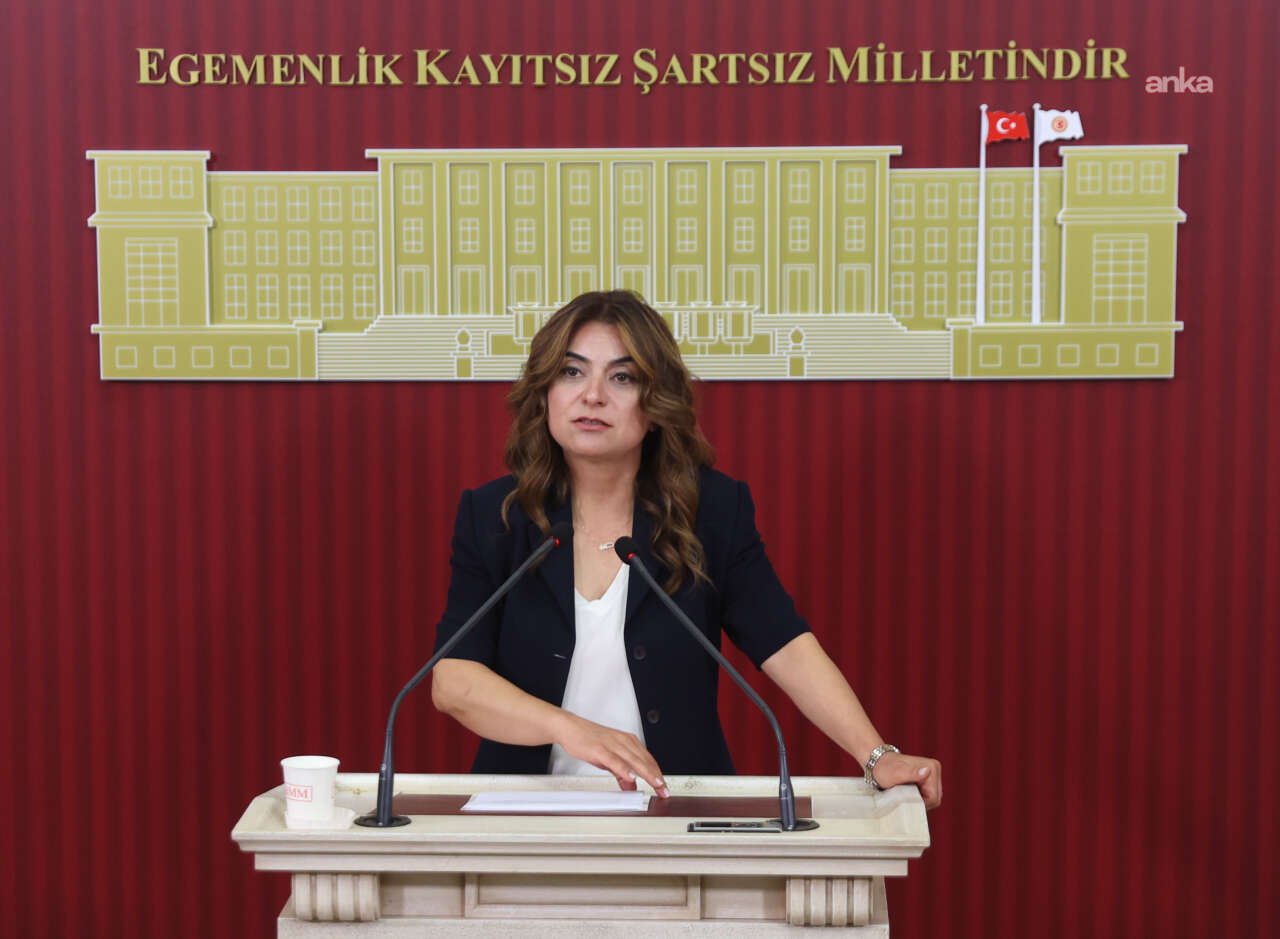 gulistan-kilic-kocyigit-1