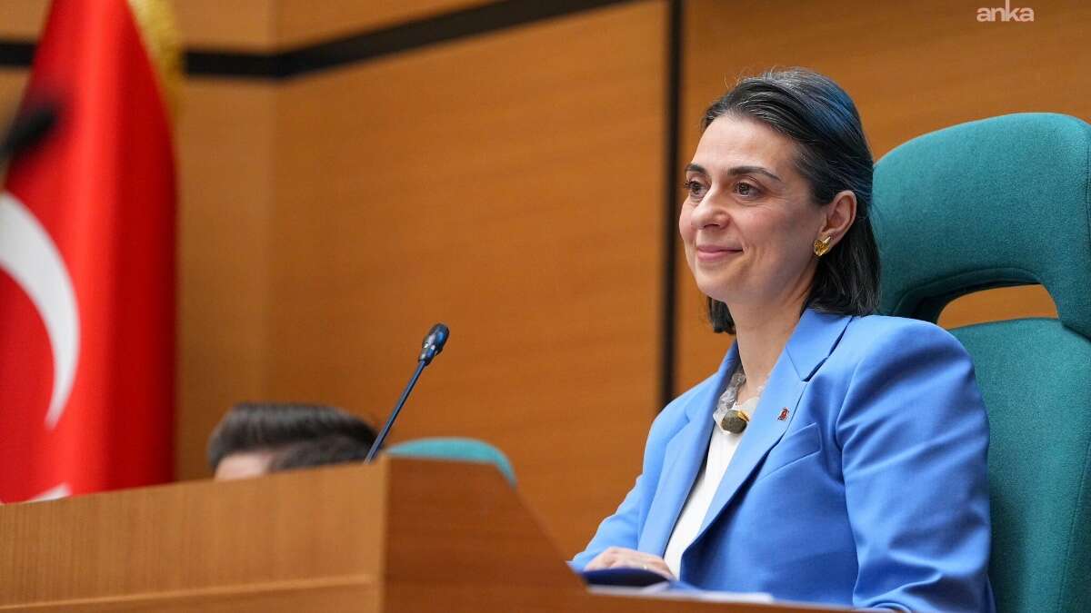 sinem-dedetas