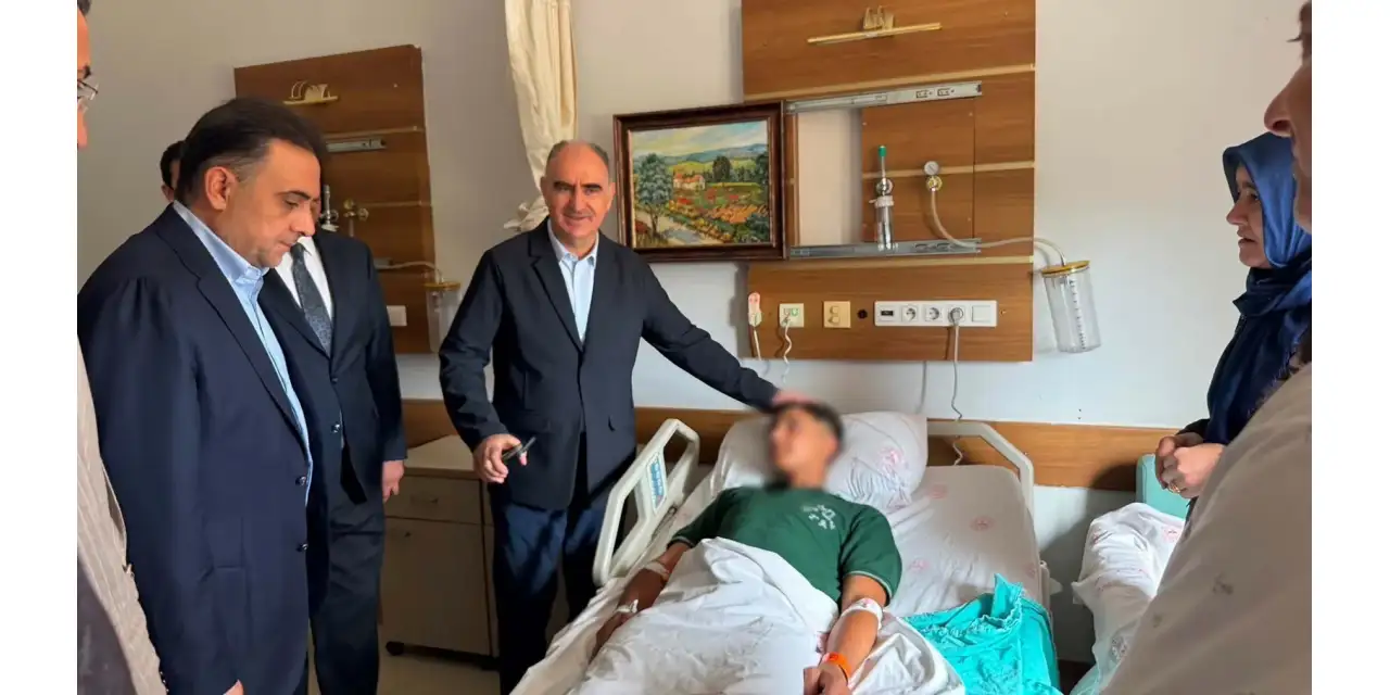 foto-avali