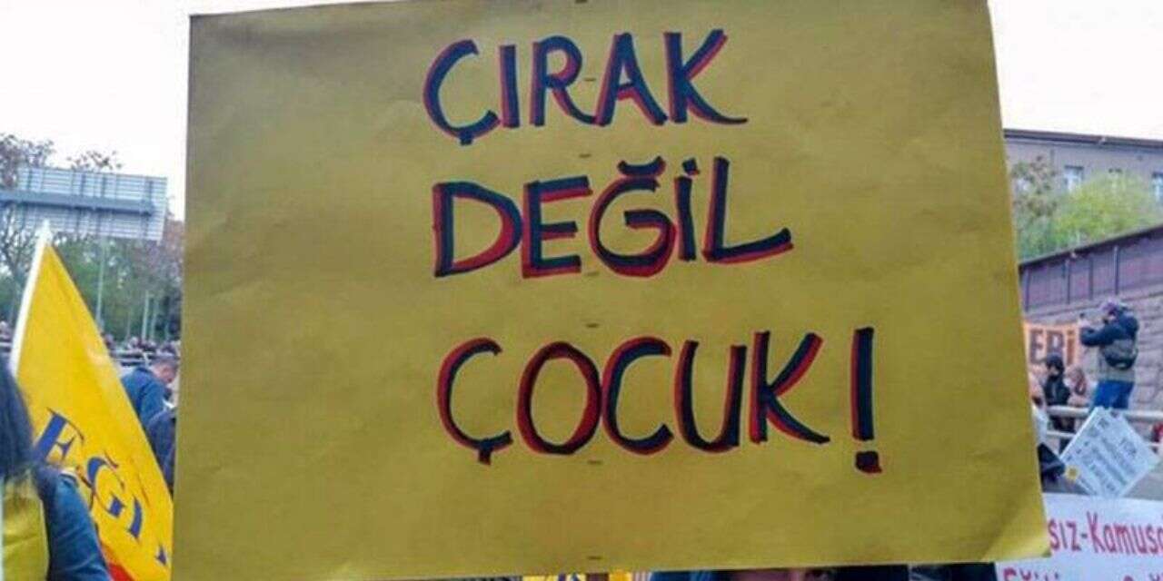 foto-temsilci
