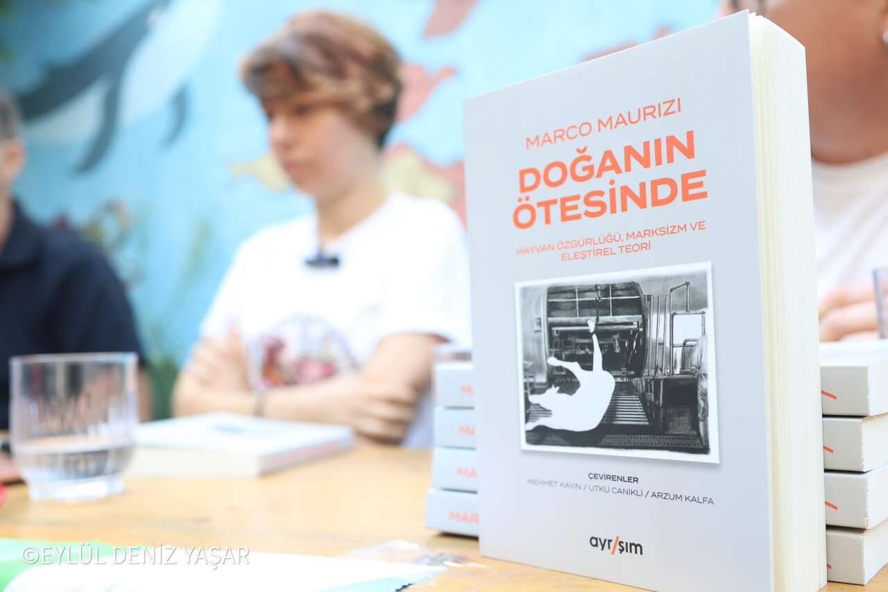 2-kitap